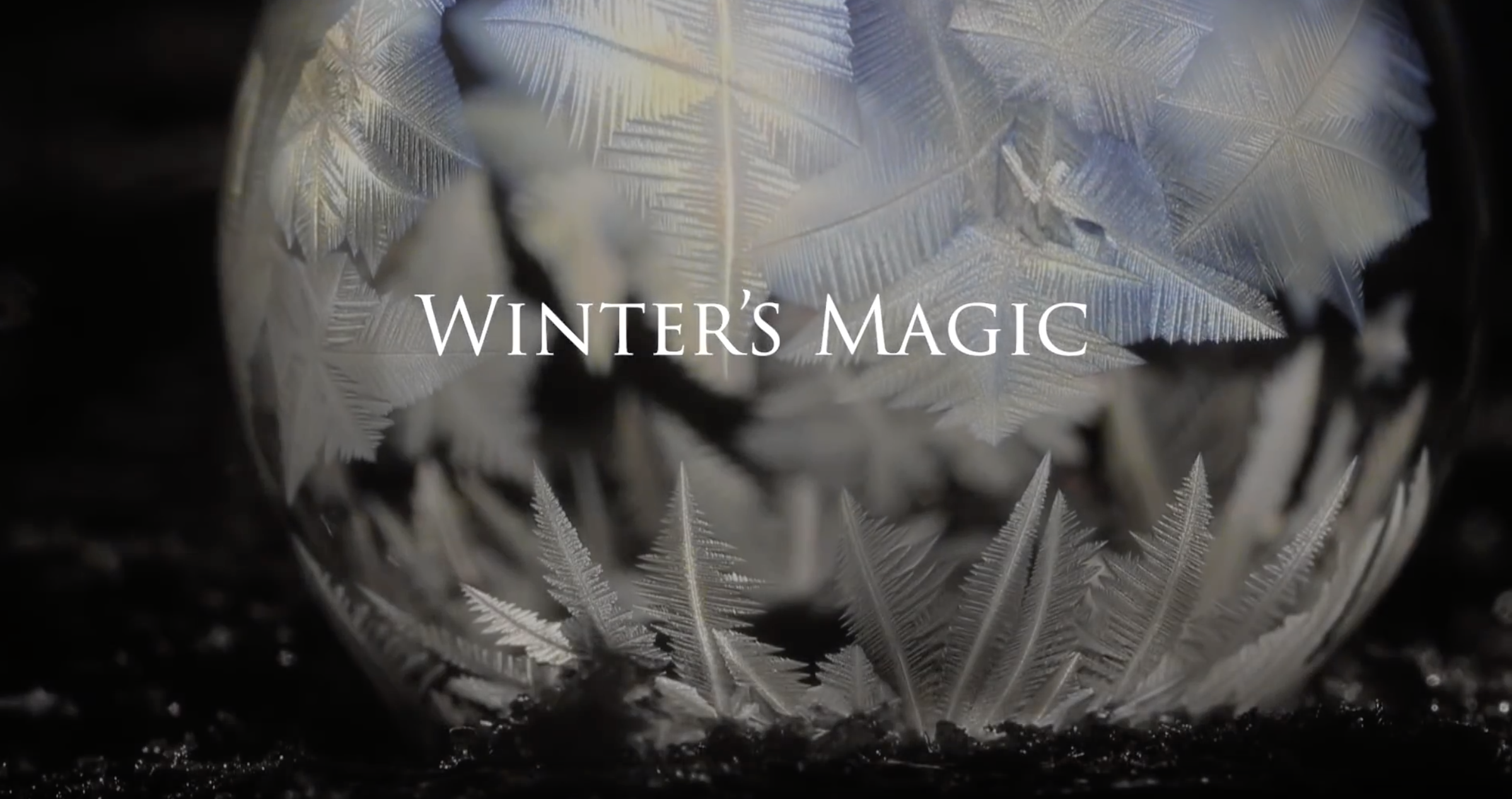 The Arts in Physics: a short film of freezing soap bubbles