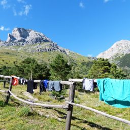 Why do wet clothes dry?