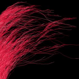 The Collatz Conjecture