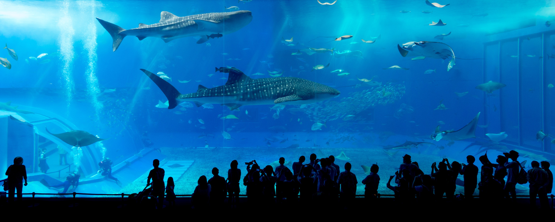 Why is glass transparent?